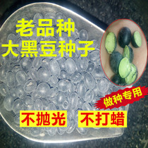 Black bean seed high yield and high quality black bean seed farmer does not Polish large green core green heart big black bean seed 500g