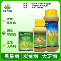 BASF Kairun 250g pyraclostrobin leaf spot scab powdery mildew pesticide fungicide