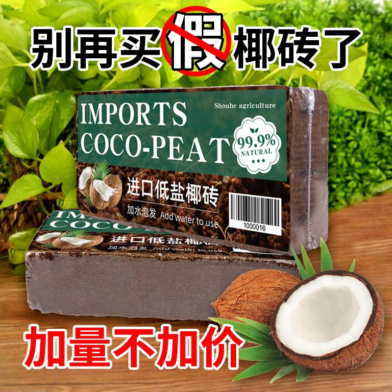 Coconut Broccoli Soil Sterile Earth Breathable Nudge of Coconut Soil Multimeat Soil Reptile Mat Material Plant Universal Flower Fattening Mud