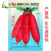 Sibeqi Jinghong 30 radish seeds fruit radish high yield disease-resistant cold-resistant balcony potted vegetables 20 grams