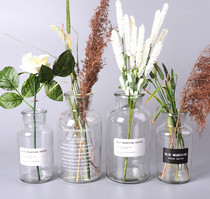 Glass Vase Minimalist Dried Flower Floral Tabletop Pendulum piece Creative Home Decorative Flower Arrangement Glass Bottle Manufacturer Direct Marketing