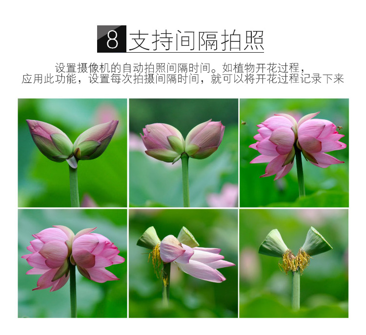 Tự động phát hiện tự nhiên Rogue chống săn camera săn cảm biến hồng ngoại camera giám sát ngoài trời đầu máy ảnh - Máy quay video kỹ thuật số máy ảnh quay vlog