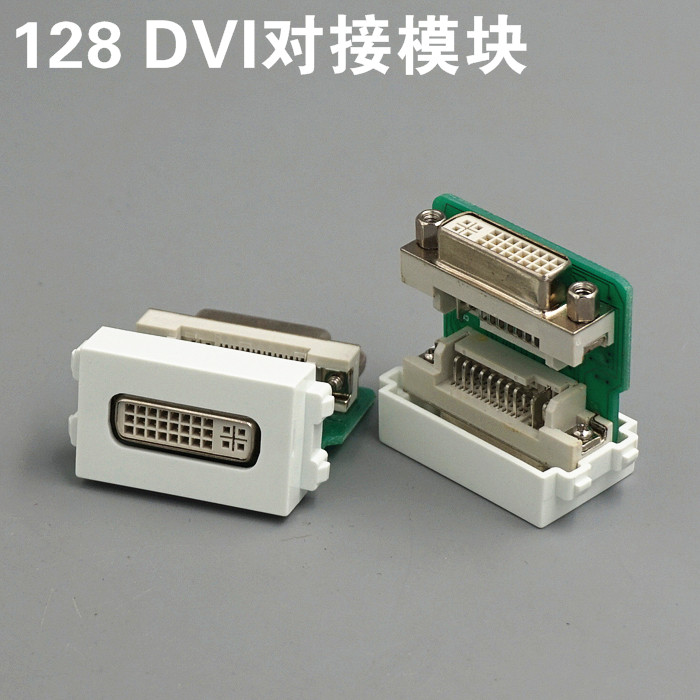 Type 128 DVI Direct Plug Module DVI Match 24 5 24 1 Module with panels and ground plugs
