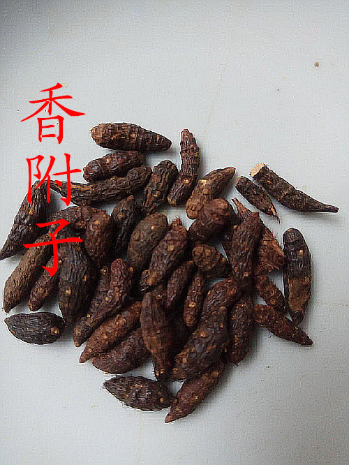 ten thousand Fairy mountain fragrant aconite grass Ginger Sliced Cilanto Hay Thunder head free to powder 2 copies