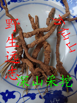 Henan Taihang specialty Polygala wild Polygala wild Polygala pure mountain digging can be beaten 250 grams