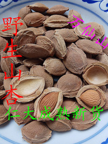 Wild apricot kernel seed raw apricot kernel Bitter Apricot kernel North apricot kernel is not a snack 5 servings