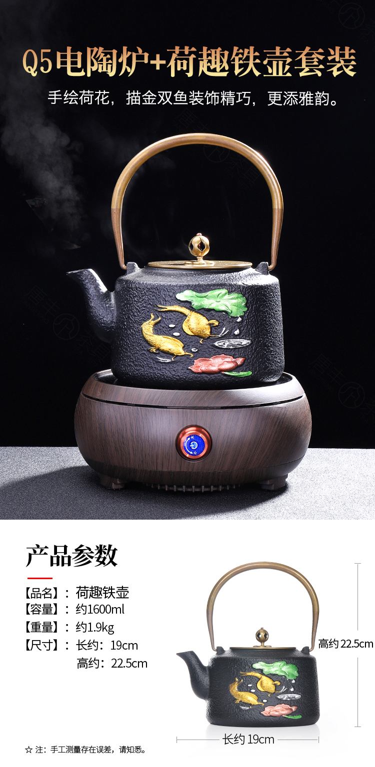 Tang Fengtie cast iron pot of cooked pot household contracted electricity TaoLu kettle electrothermal furnace boiling tea is tea stove suits for