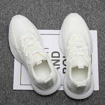 Men Shoes Summer Breathable Mesh Shoes 45 Men White Casual Sneakers 46 Mesh Face Small White Shoes Big Code Old Daddy Shoes