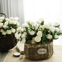 Aijia three-dimensional simulated plants fake flowers wicker wall decorations wall hangings living room decorations creative home crafts