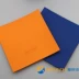 Tình bạn đích thực 729 bộ nhựa dọc và ngang loại phổ biến tập huấn luyện bộ kinh tế bóng bàn cao su chống dính cao su