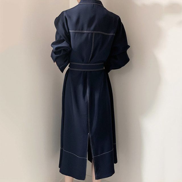 Korean chic minimalist elegant stand-up collar open-line single-breasted loose strap windbreaker dress long skirt