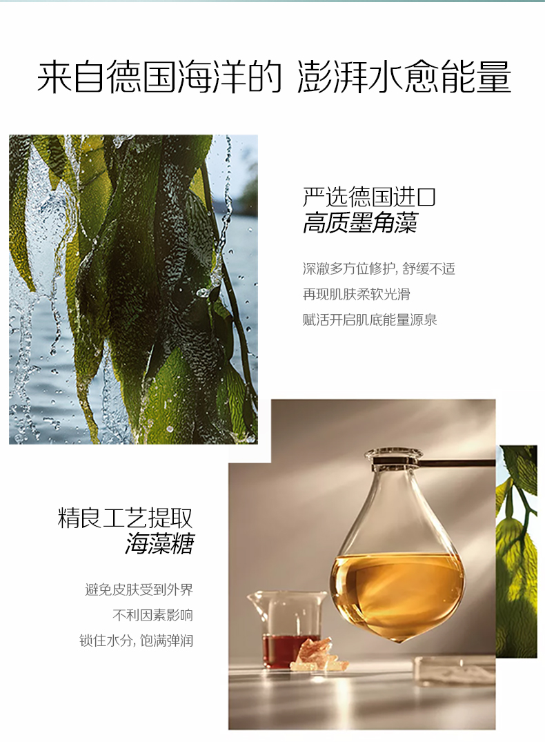 森田 氨基酸海藻面膜 10片 补水保湿 图4