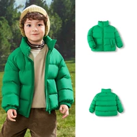 Морские водоросли зеленый косочковый мех