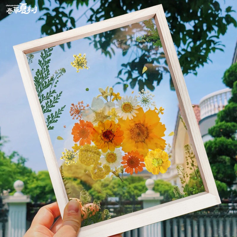 May Day Labor Day Pressed Dried Flower Photo Frame Three-Dimensional Transparent Glass Plant Specimen DIY Handmade Materials Table Decoration