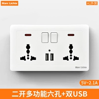 Тип 146-два отверстия по шесть отверстий + два USB [2,1А] с маленьким круглым