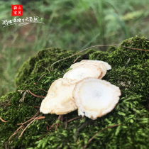 Changbai Mountain ginseng authentic ginseng tablets large slices soaked in water