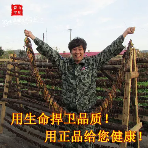 Подлинный снежный клад с заснеженной кладкой Кламе Клам Клада Клада Клатидия Северо -восточный снежный снежный моллюско