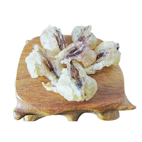 Подлинный снежный клад с заснеженной кладкой Кламе Клам Клада Клада Клатидия Северо -восточный снежный снежный моллюско