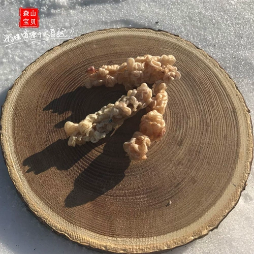 Снежный нефтяной линия масла масла Чанбай Гора Аутентичный снежный моллюско