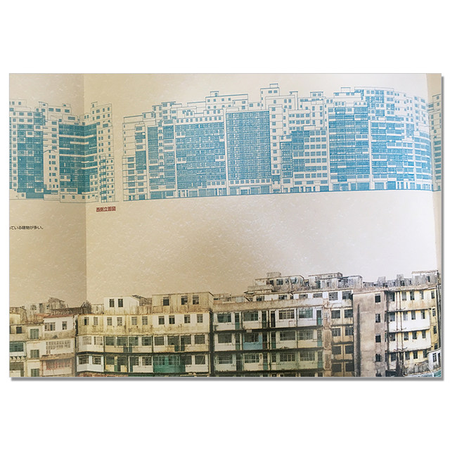 Big picture explains Kowloon City Big picture explains Kowloon City Hong Kong Kowloon City reveals the whole picture large picture book expedition team