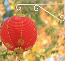 Hanging corridor Pendant Balcony Hanging Lantern Hook Road Lamppost Flower Pot with green Laura hanging on the wall hanging flower basket