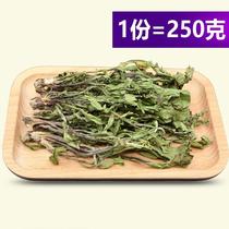 White Drum Ding Tea Yellow Root Tea Pugongyingfu Dandelion Lang Tea Super Natural Wild Bo Gongying Tea Pure Pu