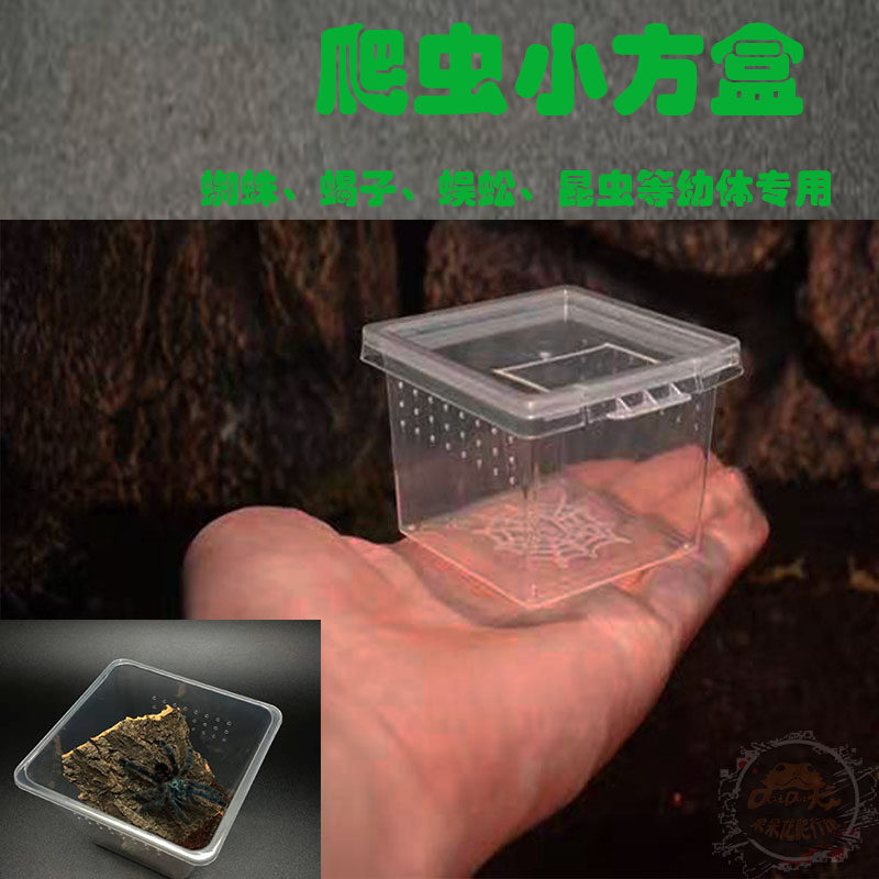Small Square Box Reptile Feeding Box Small Plastic Case Small Box Spider rearing box Climbing Spotting Rearing Box Centipedes Scorpions