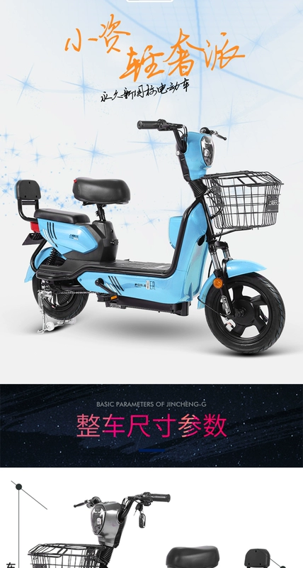 Xe điện vĩnh cửu tiêu chuẩn quốc gia mới 48V ắc quy axit chì dành cho người lớn xe điện mini nam và nữ đạp ắc quy xe Mạnh - Xe đạp điện