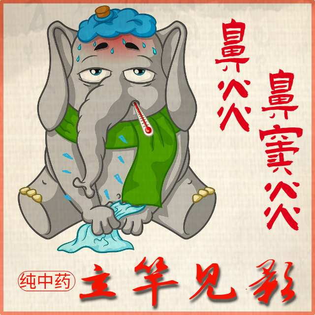 Traditional Chinese Medicine Specifically for Nasal Congestion, Nasal Blockage, and Nasal Itching Caused by Sinusitis and Allergies