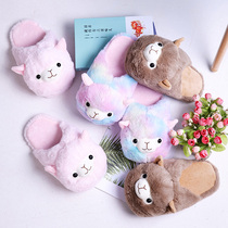 Color alpaca cotton slippers Womens winter home indoor cute plush slippers Autumn and winter floor home cute home slippers