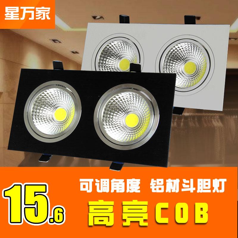 LED double head spotlight double head bean bile lamp rectangular COB single head ceiling lamp clothing store recessed grid light