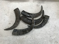 Бычий угол сырье натуральное декоративное угловое наконечник Сплошное сырье Собевое угловое угол угловой угол угловой угол Диагональный сырье