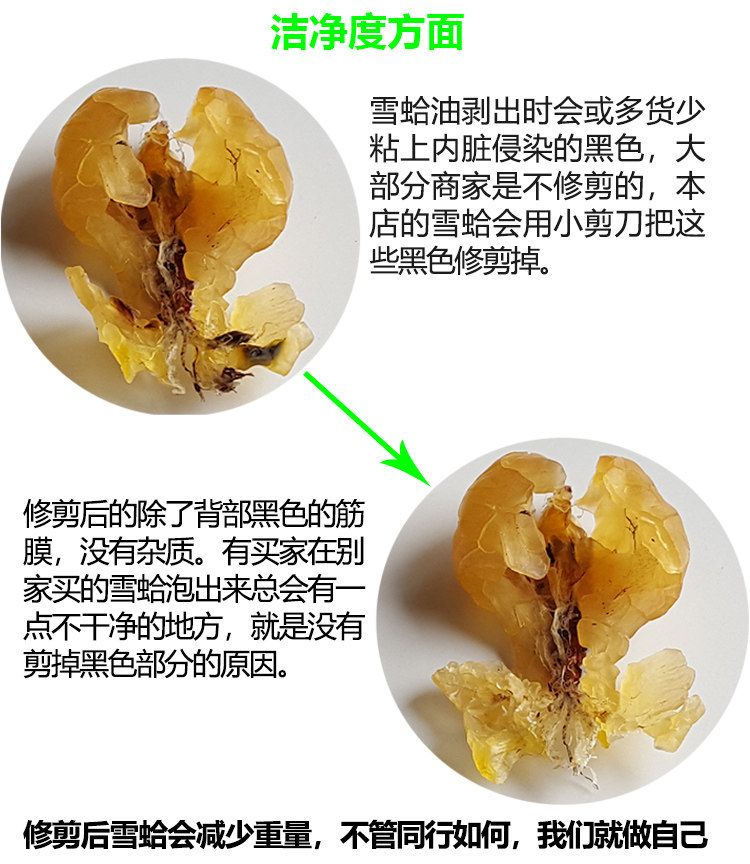 Подробности снежного моллюска 181018_06.jpg