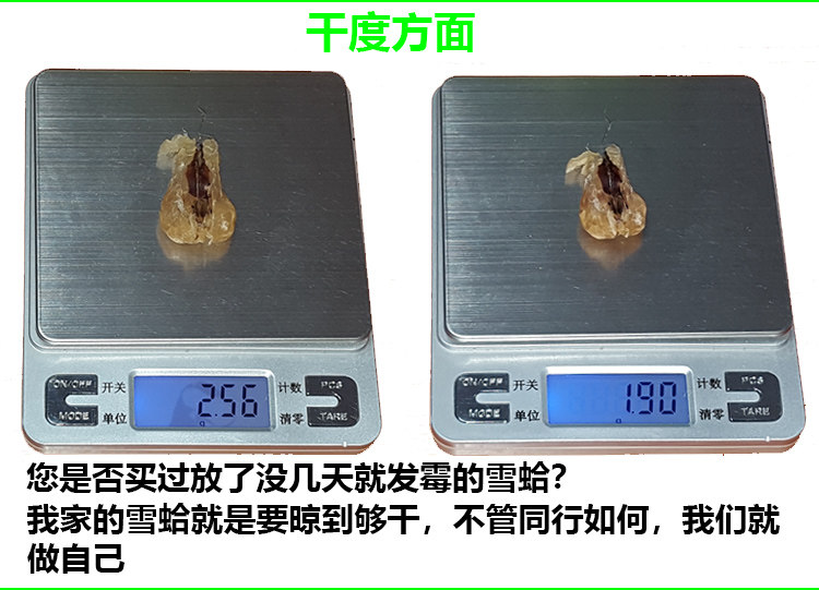 Подробности снежного моллюска 181018_02.jpg