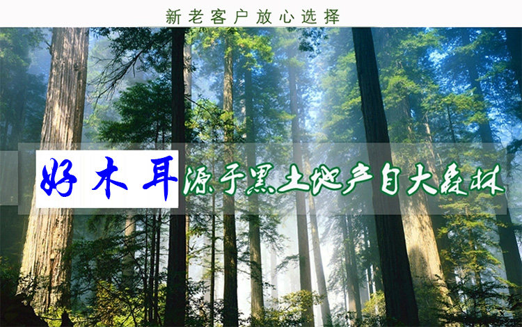 Первый экран