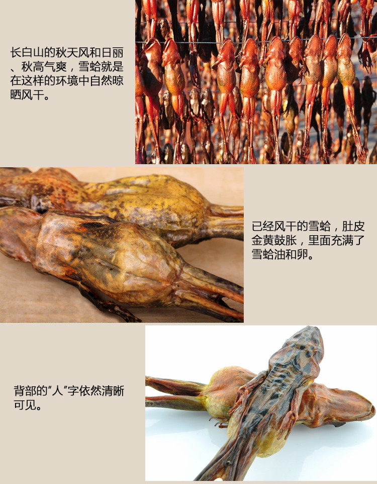 Информация о продукте снежного моллюска