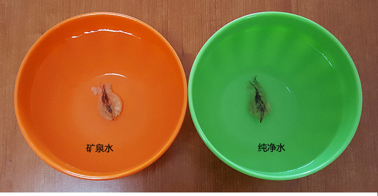 Сравнение минеральной воды с пузырьками чистой воды_04.jpg