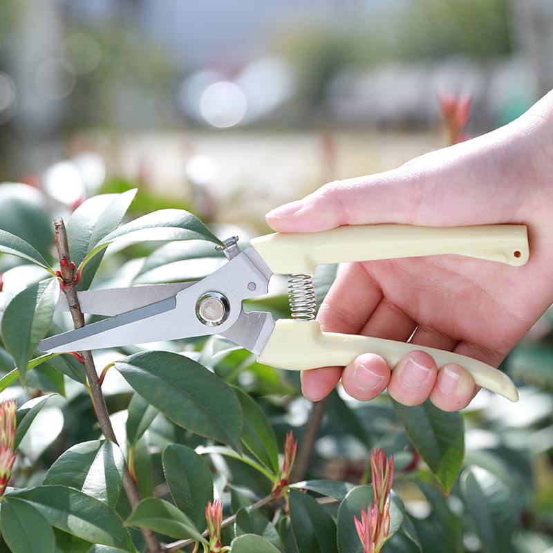 Gardening pruning scissors strong branch scissors fruit tree picking fruit household flower pruning flower branch flower flower scissors