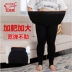 Quần tất đỏ hạt tiêu thu đông nữ phú chị béo plus size legging không thể mất tệp bên ngoài mặc quần cotton mm béo - Vớ Vớ