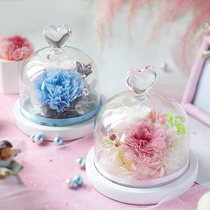 Imported immortal rose Carnation glass cover gift box for Mothers Day to send mothers gift SF