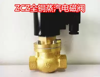 Copper coil high temperature steam solenoid valve ZCZ-15 20 25 32 40 50 4 6 fen 1 fathoms and a half 220V