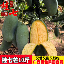 Authentic Tai Nong Baise Guiqi mango 10 catty Guangxi specialty is now picked and found in Tiandonggui 7 green skin mango fruit
