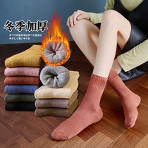 Socks Woman Midcylinder Winter Plus Suede Thickened Warm Wool Socks Lady Sunday Subflooring Socks Towel Socks Korea