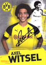 Belgiums national foot Witsels autographThe official Cadotmund 2018-19 season
