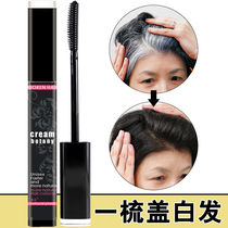 (Available for pregnant women) disposable hair dyeing pen female temporary cover white hair brush stick paste plant black hair artifact