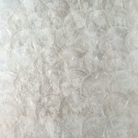 Серебряный белый 60*60