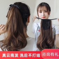 True hair ponytail wig female big wave medium long pear curly hair short 40 full live hair silk inside buckle high braid