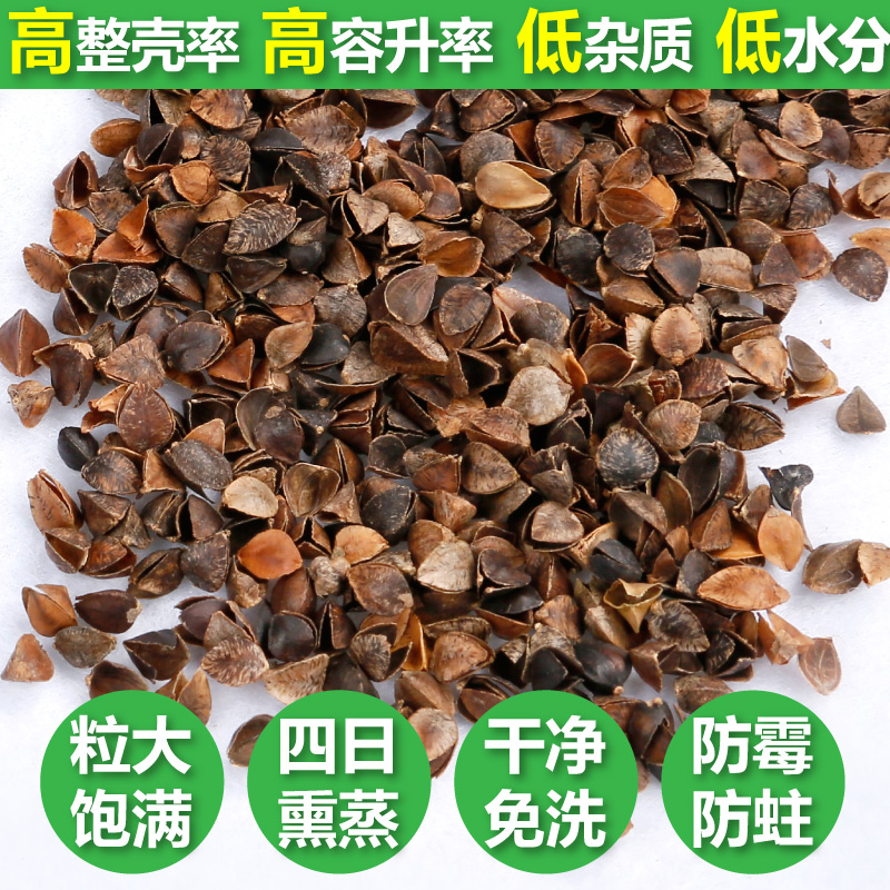 Double Diffuse Bulk Buckwheat Husk Buckwheat Skin Pillow Pillow