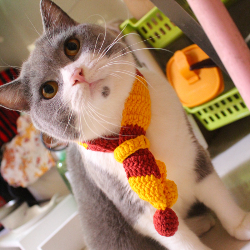 Harry Potter Stripe Knit Scarf Pet Item Lap Beauty Short English Short Cat Neck Ring Halloween Cat Enclosure Cute