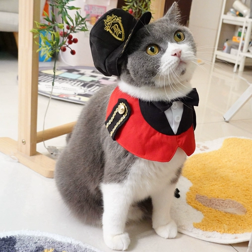 Милая униформа, галстук-бабочка, шарф, шапка, комплект